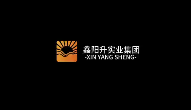 山东鑫阳升实业集团有限公司企业宣传片
